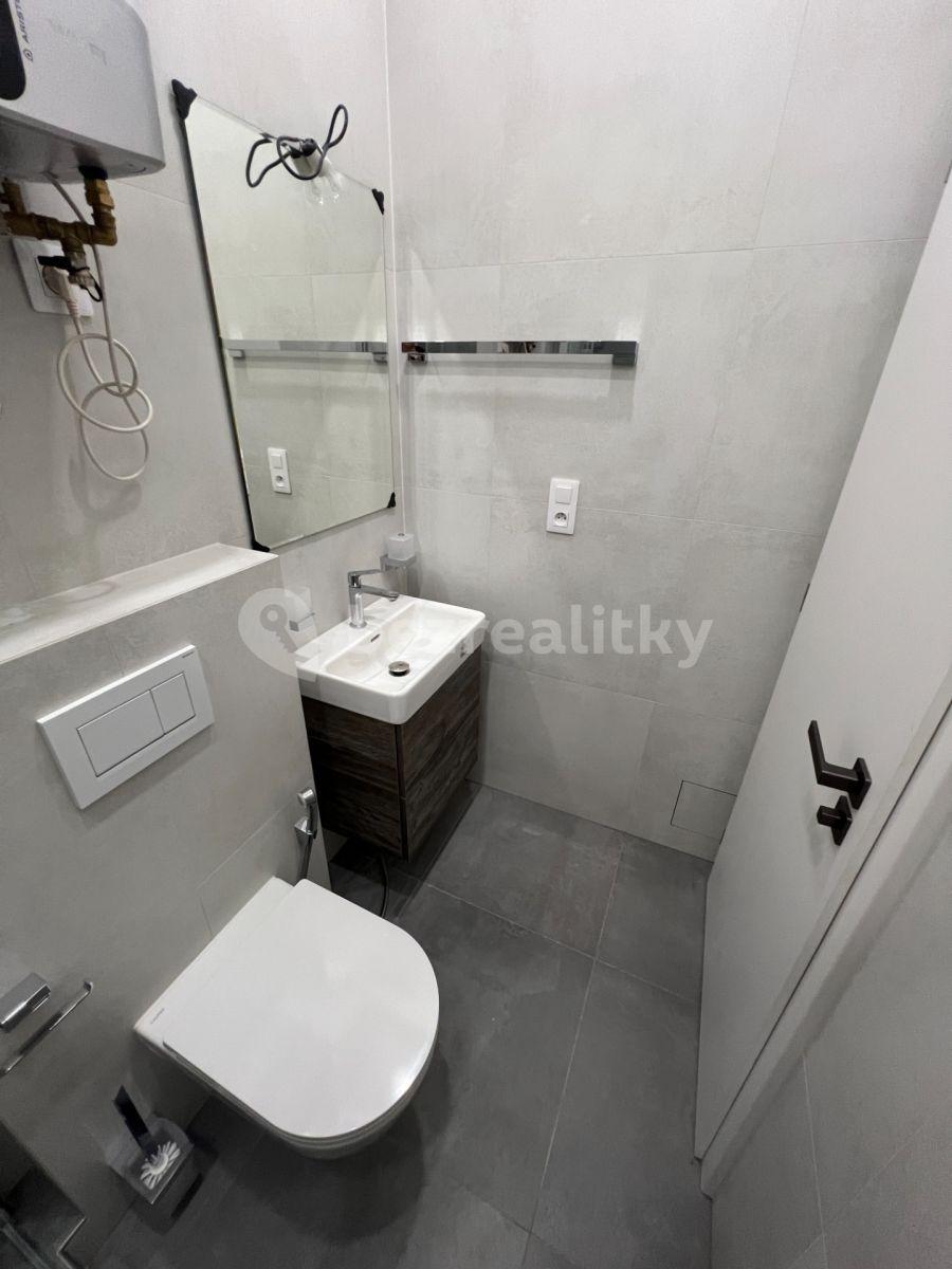 1 bedroom with open-plan kitchen flat for sale, 37 m², Březinova, Prague, Prague