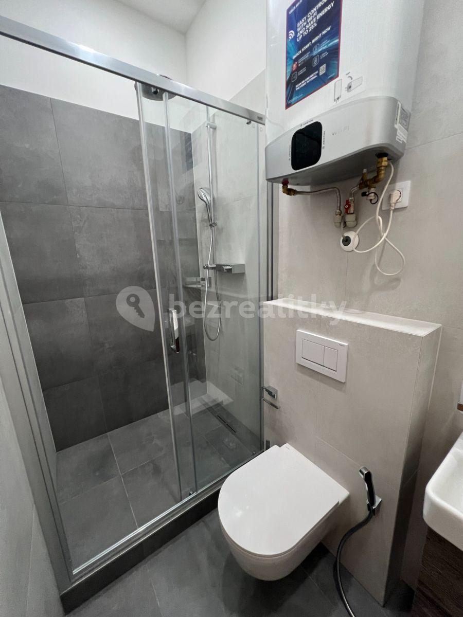 1 bedroom with open-plan kitchen flat for sale, 37 m², Březinova, Prague, Prague