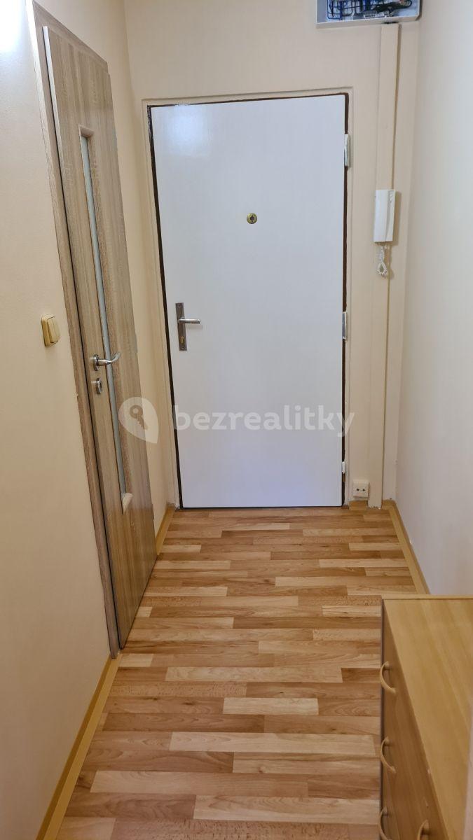 1 bedroom with open-plan kitchen flat to rent, 39 m², Tolstého, Ústí nad Labem, Ústecký Region