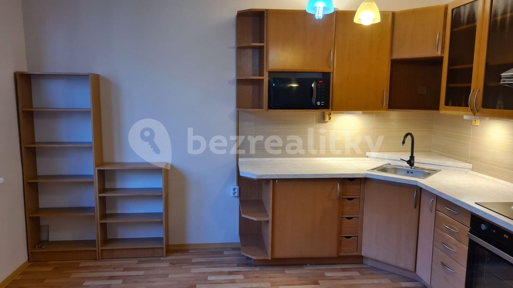 1 bedroom with open-plan kitchen flat to rent, 39 m², Tolstého, Ústí nad Labem, Ústecký Region