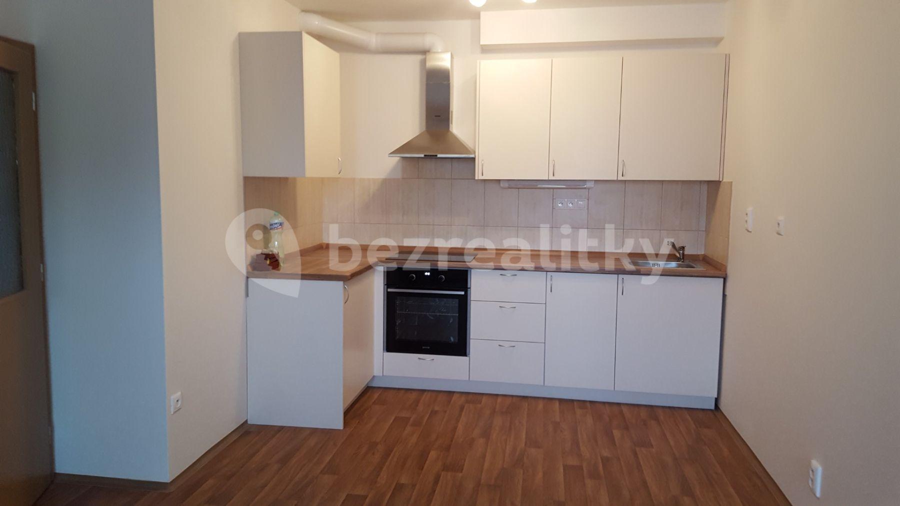 1 bedroom with open-plan kitchen flat to rent, 45 m², V Honech, Klecany, Středočeský Region