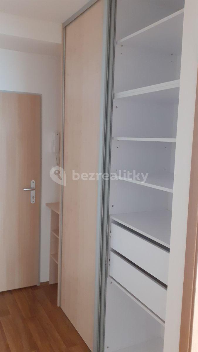 1 bedroom with open-plan kitchen flat to rent, 45 m², V Honech, Klecany, Středočeský Region