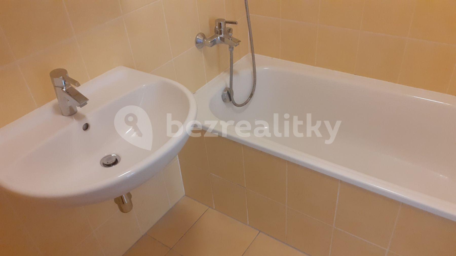 1 bedroom with open-plan kitchen flat to rent, 45 m², V Honech, Klecany, Středočeský Region