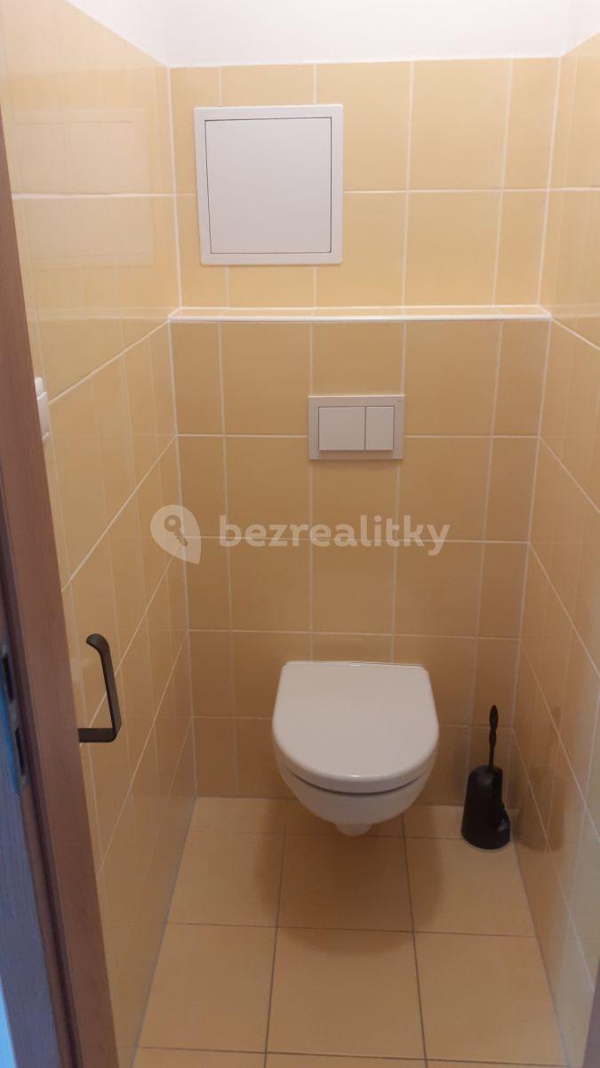 1 bedroom with open-plan kitchen flat to rent, 45 m², V Honech, Klecany, Středočeský Region