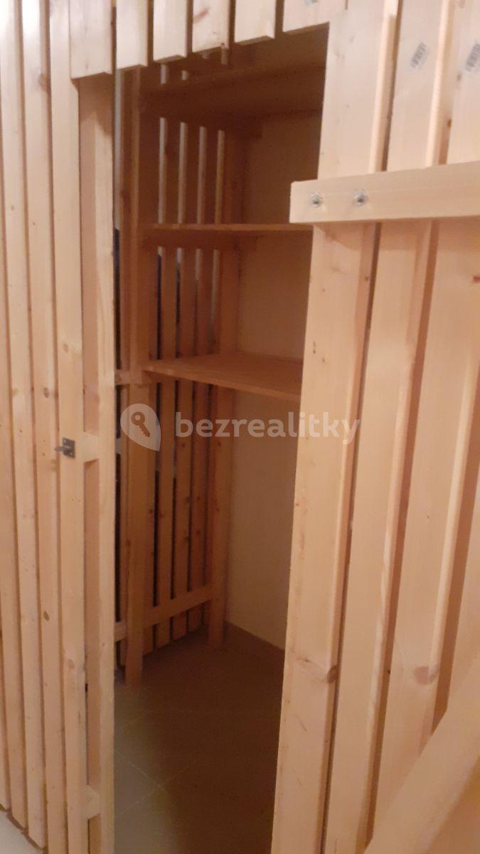 1 bedroom with open-plan kitchen flat to rent, 45 m², V Honech, Klecany, Středočeský Region