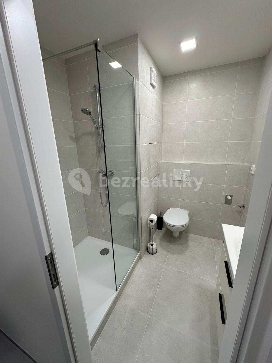 Studio flat to rent, 36 m², Brožíkova, Hradec Králové, Královéhradecký Region