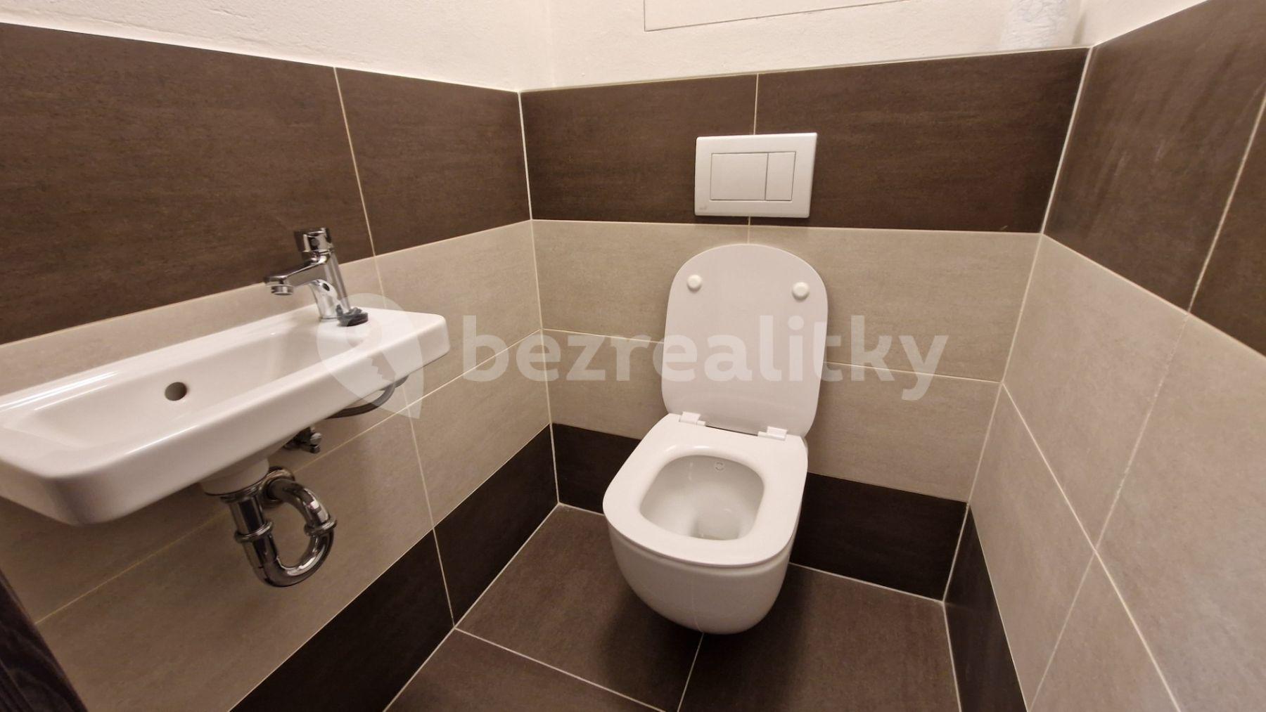 1 bedroom with open-plan kitchen flat to rent, 62 m², Studentská, Plzeň, Plzeňský Region