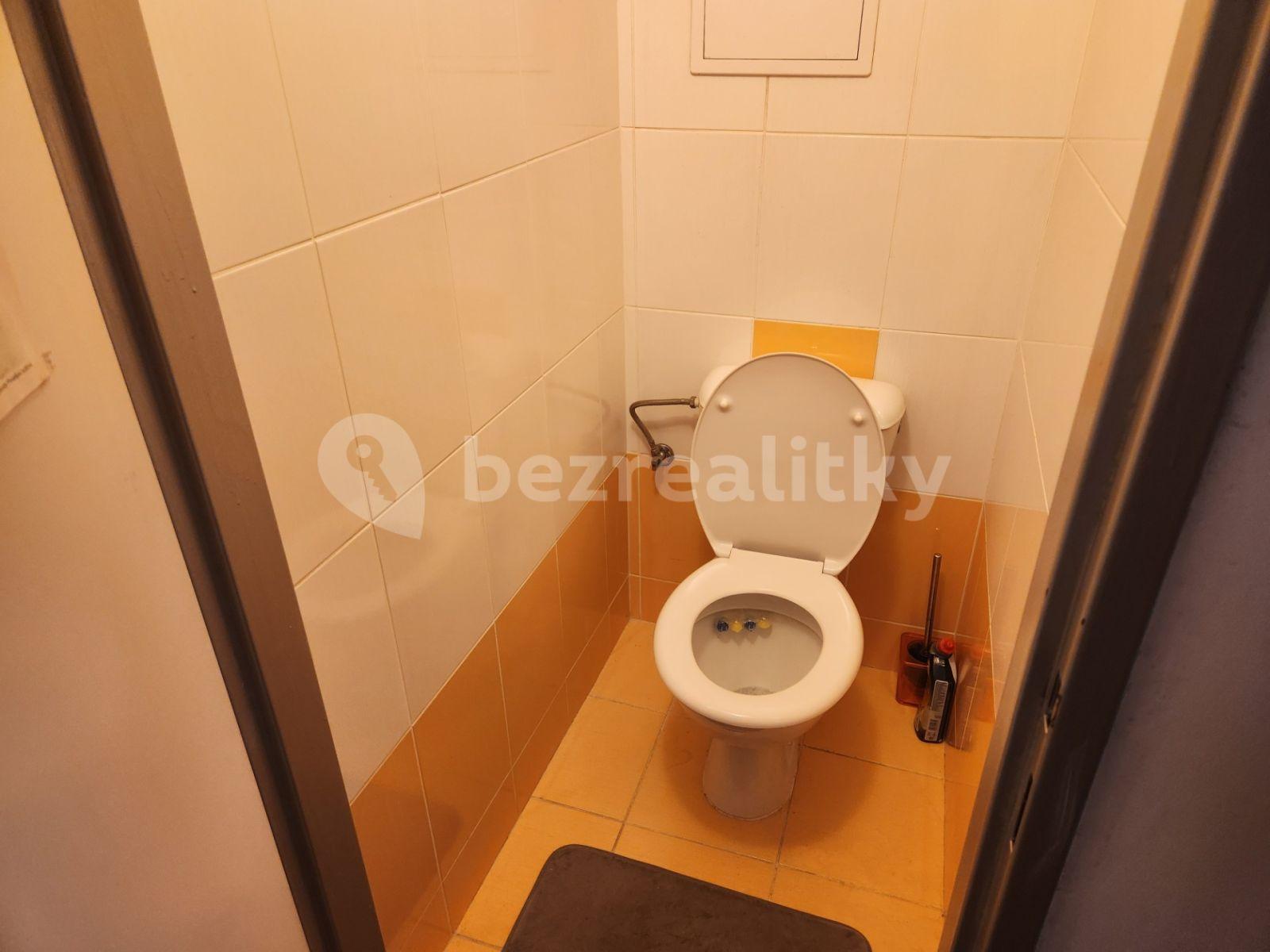 1 bedroom with open-plan kitchen flat to rent, 47 m², U Valu, Prague, Prague