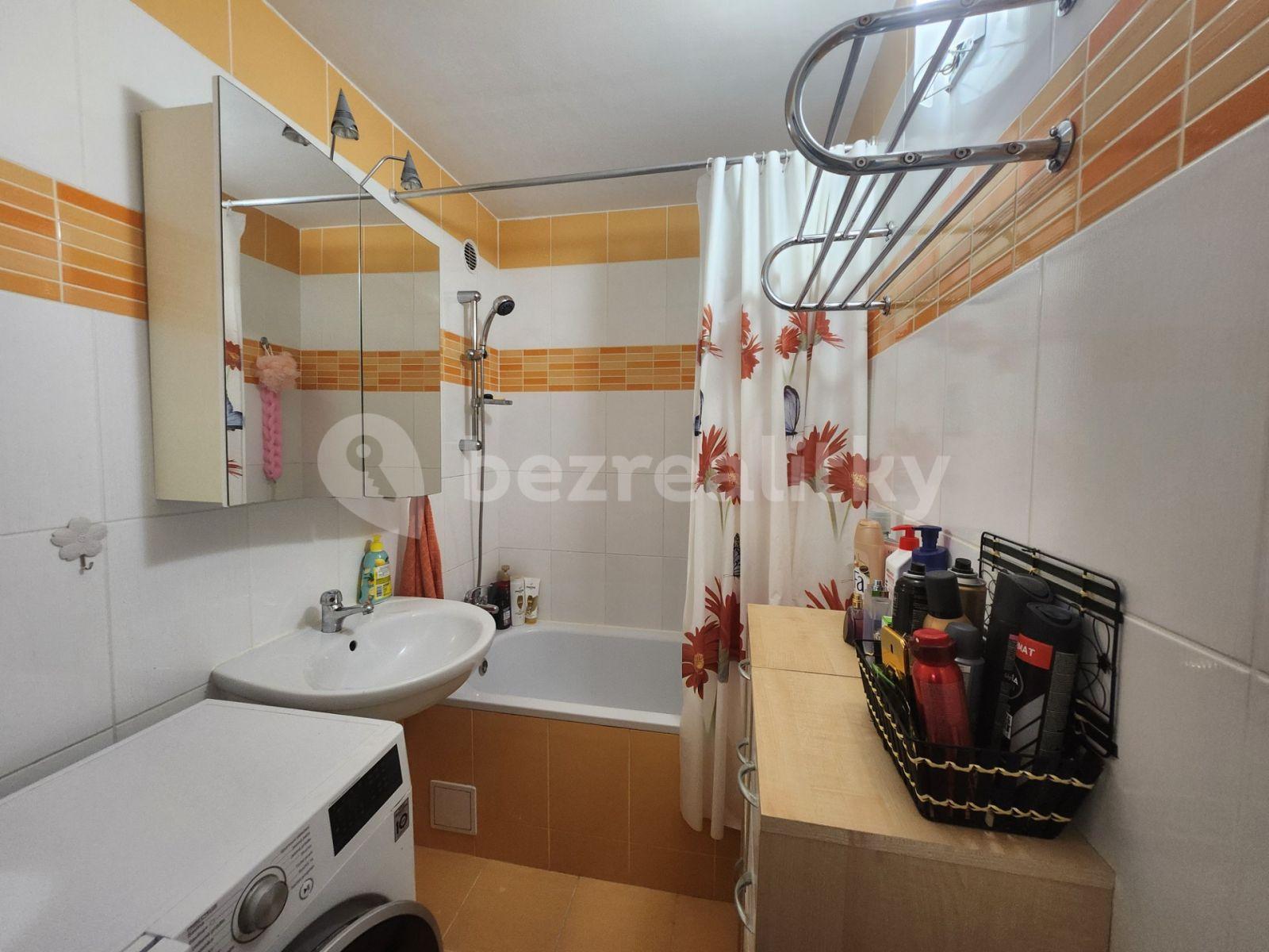 1 bedroom with open-plan kitchen flat to rent, 47 m², U Valu, Prague, Prague