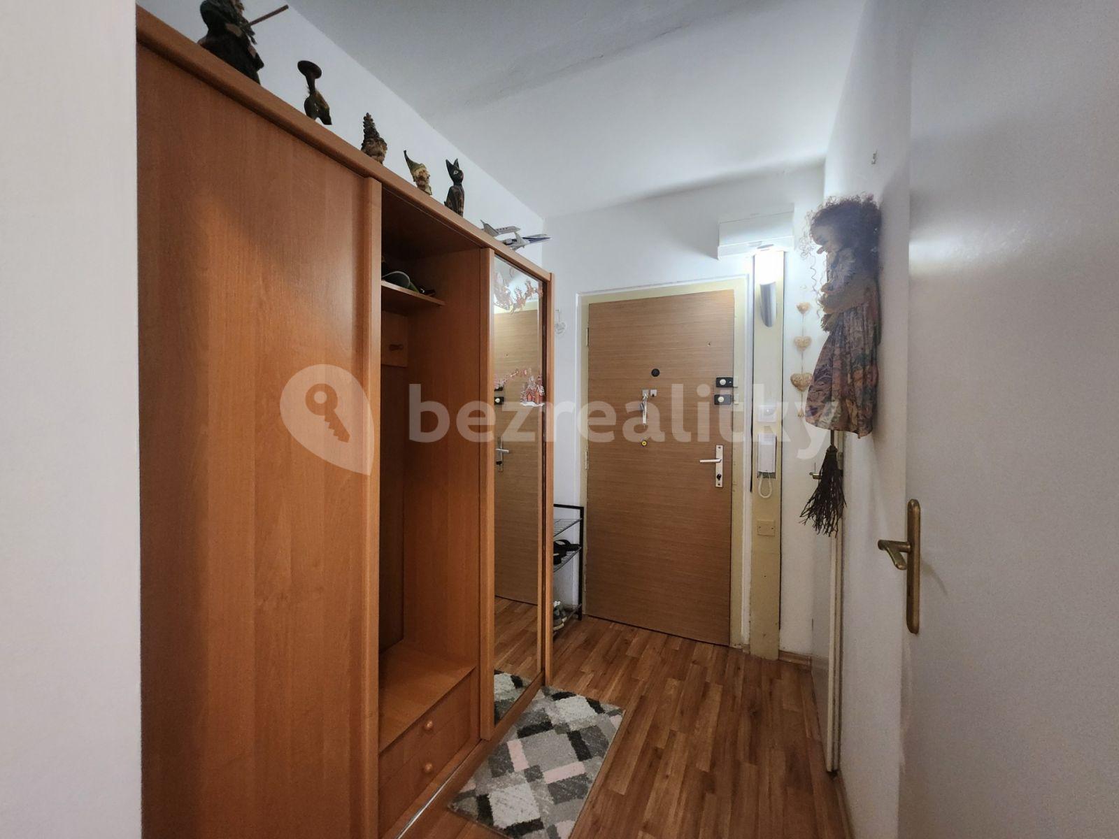 1 bedroom with open-plan kitchen flat to rent, 47 m², U Valu, Prague, Prague