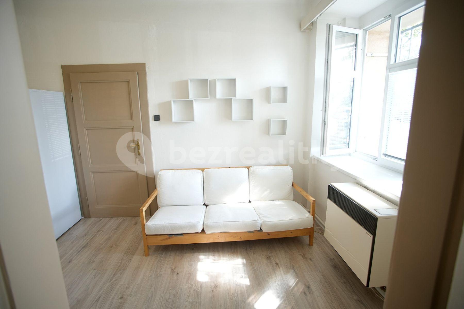 1 bedroom with open-plan kitchen flat to rent, 42 m², U Vysočanského pivovaru, Prague, Prague