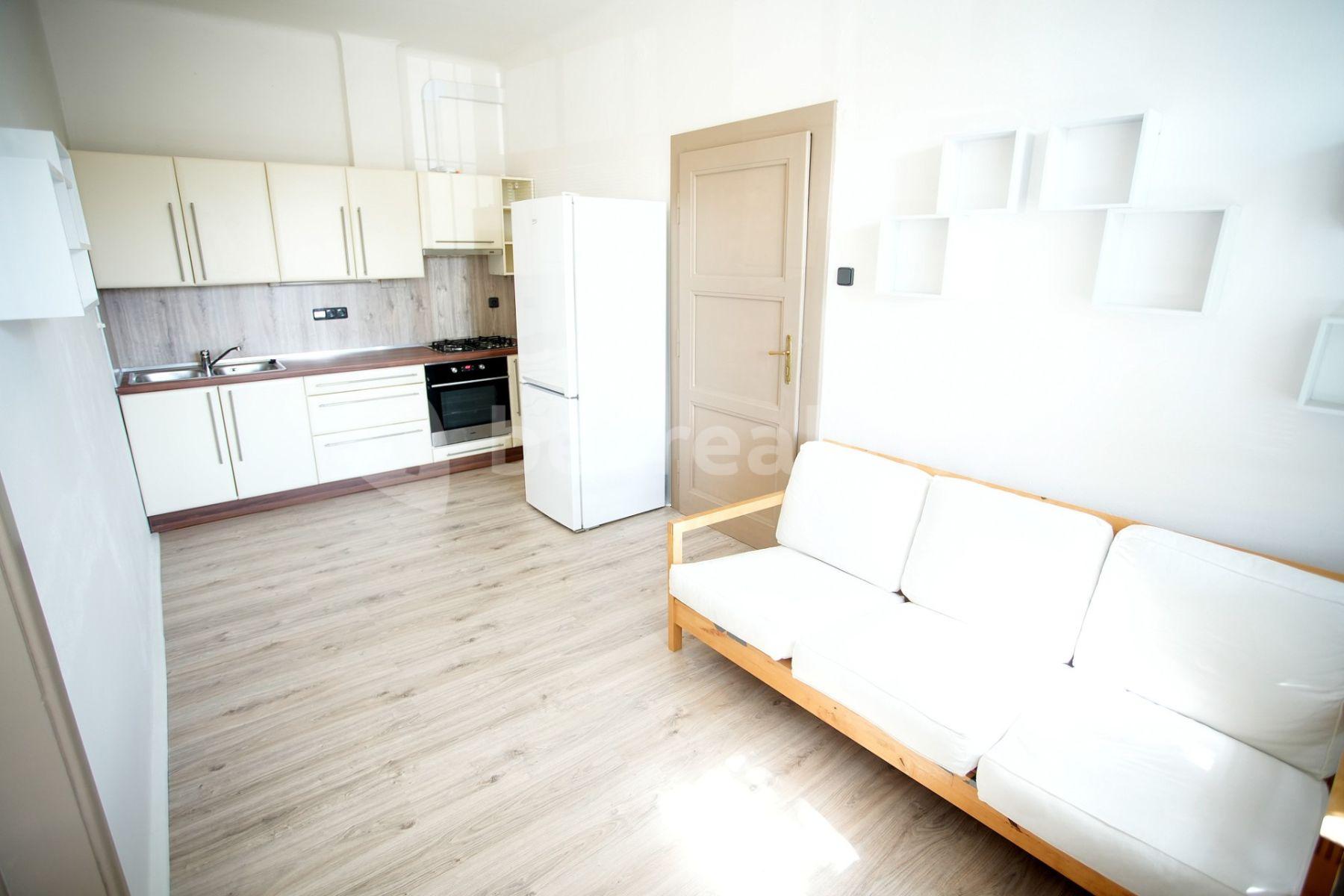 1 bedroom with open-plan kitchen flat to rent, 42 m², U Vysočanského pivovaru, Prague, Prague