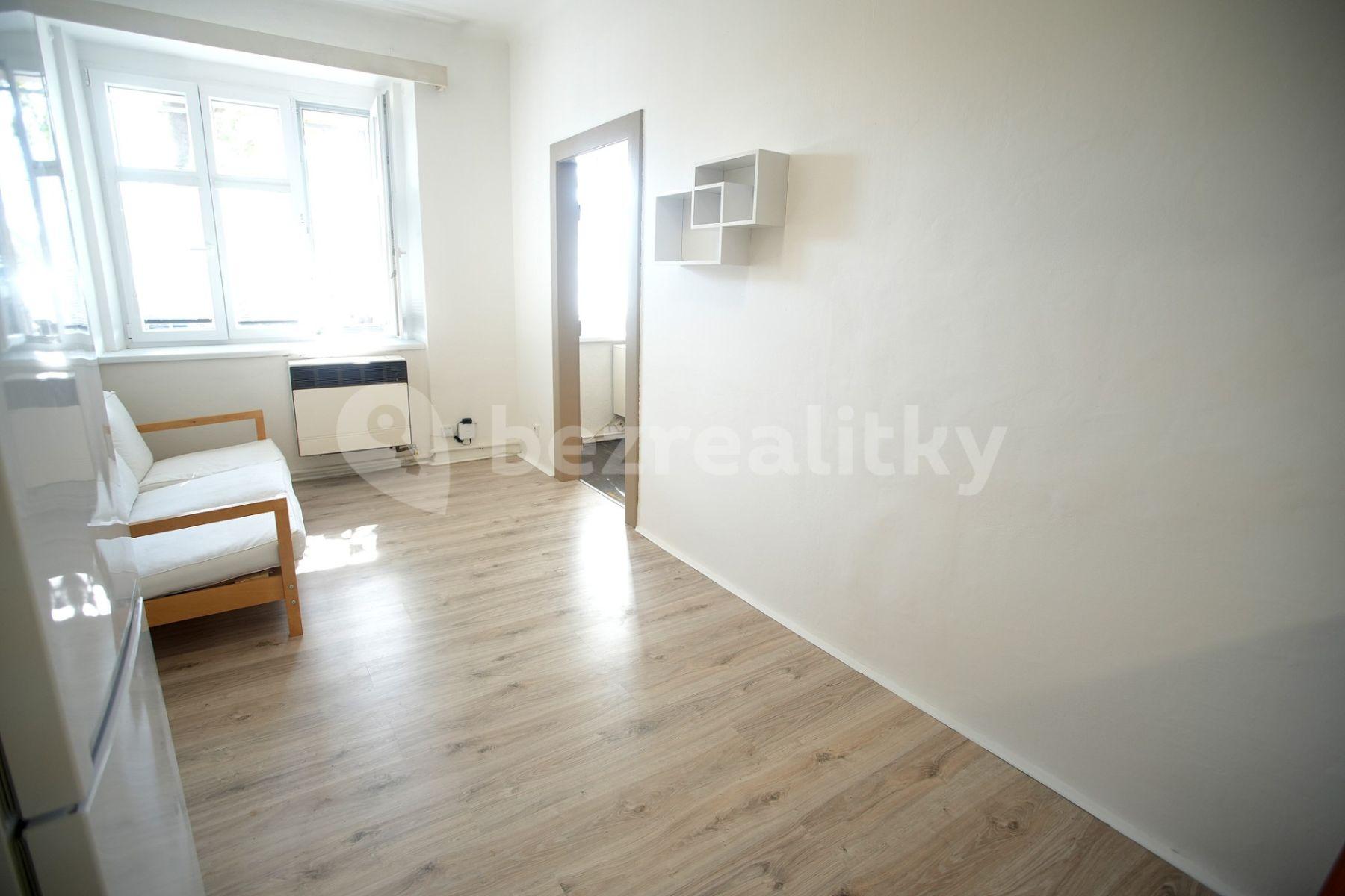 1 bedroom with open-plan kitchen flat to rent, 42 m², U Vysočanského pivovaru, Prague, Prague