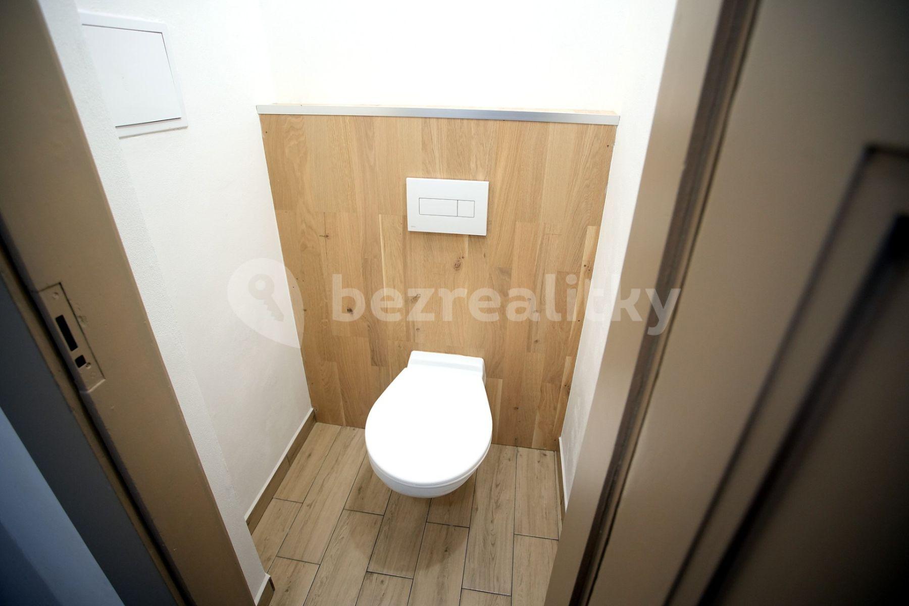 1 bedroom with open-plan kitchen flat to rent, 42 m², U Vysočanského pivovaru, Prague, Prague