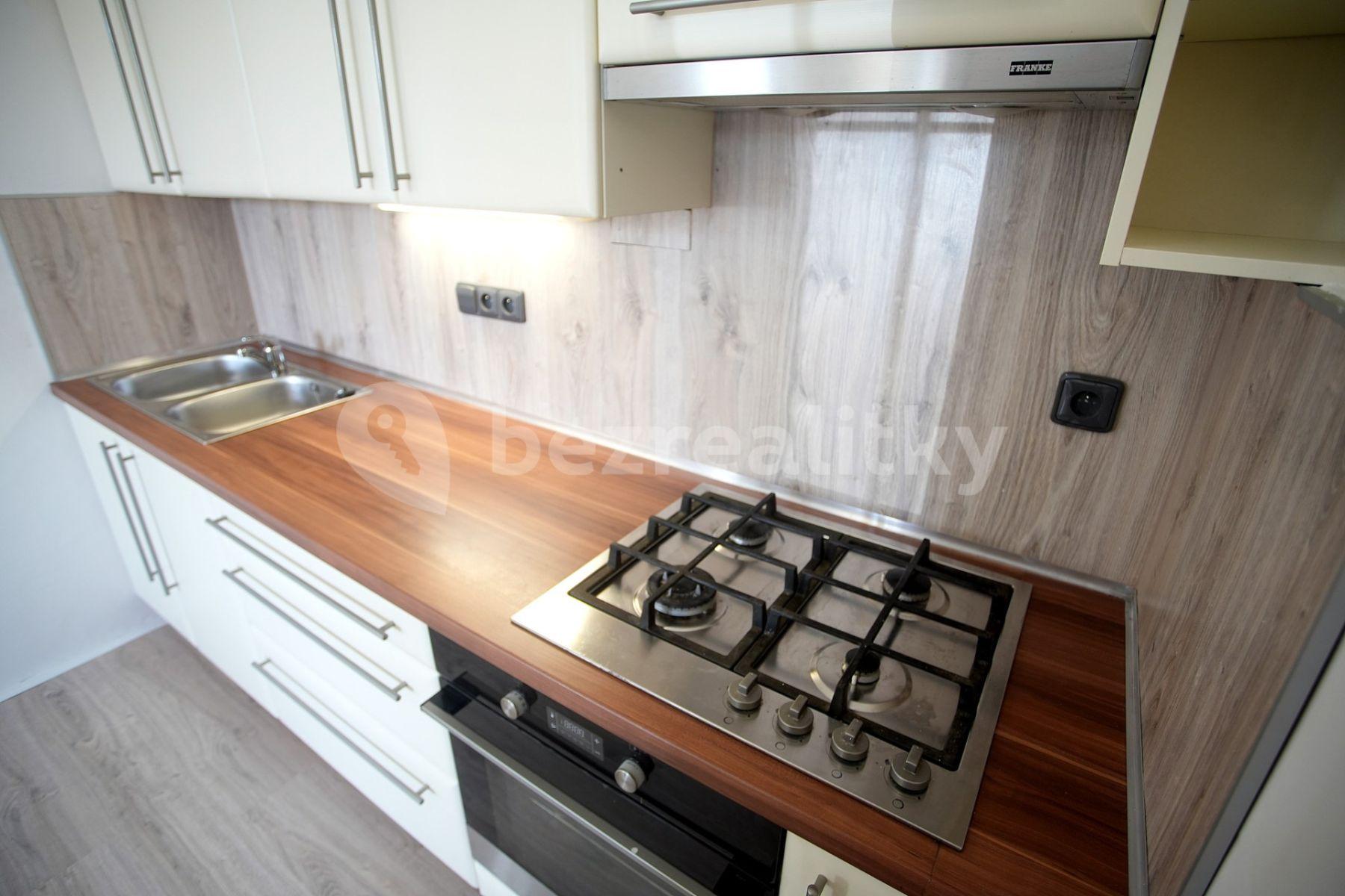 1 bedroom with open-plan kitchen flat to rent, 42 m², U Vysočanského pivovaru, Prague, Prague