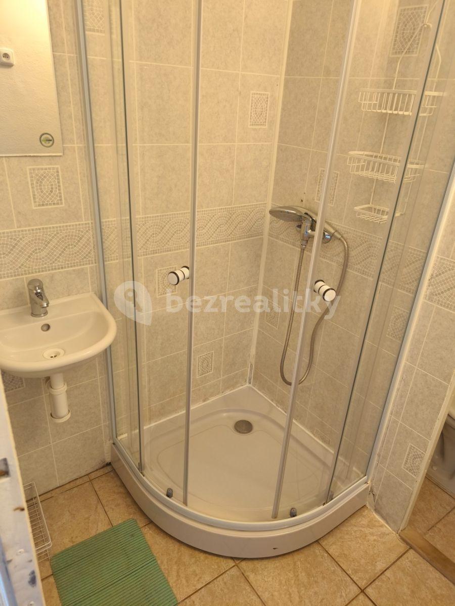 Studio flat to rent, 20 m², Tenisová, Prague, Prague