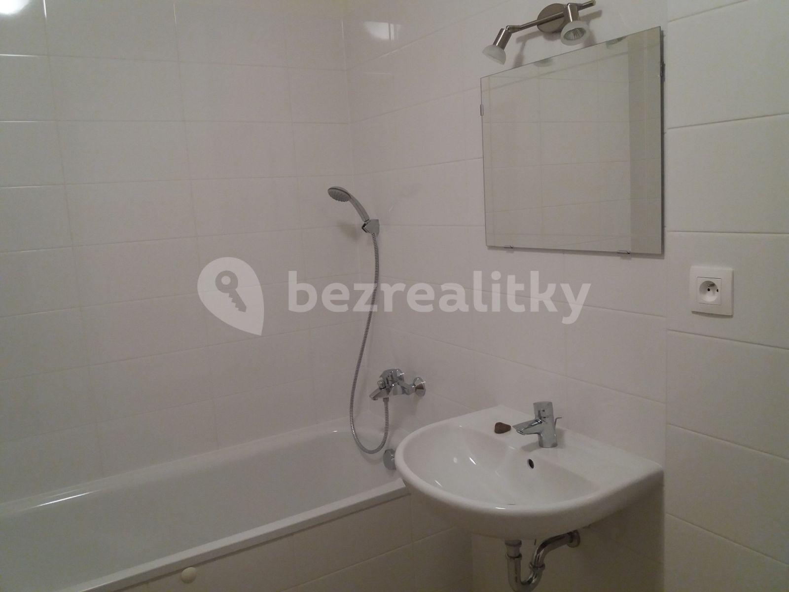 Studio flat to rent, 45 m², Zlochova, Prague, Prague