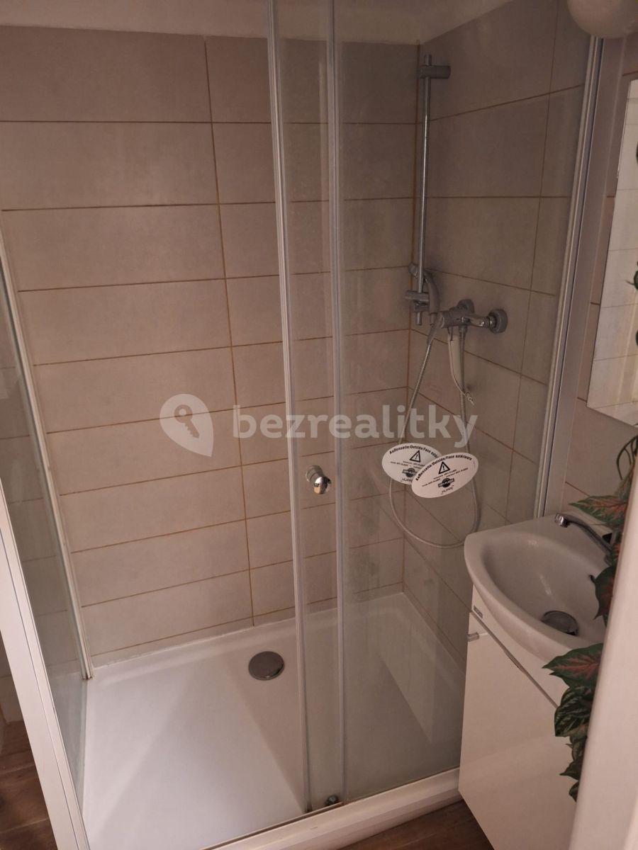 1 bedroom flat to rent, 38 m², Bráfova, Brno, Jihomoravský Region