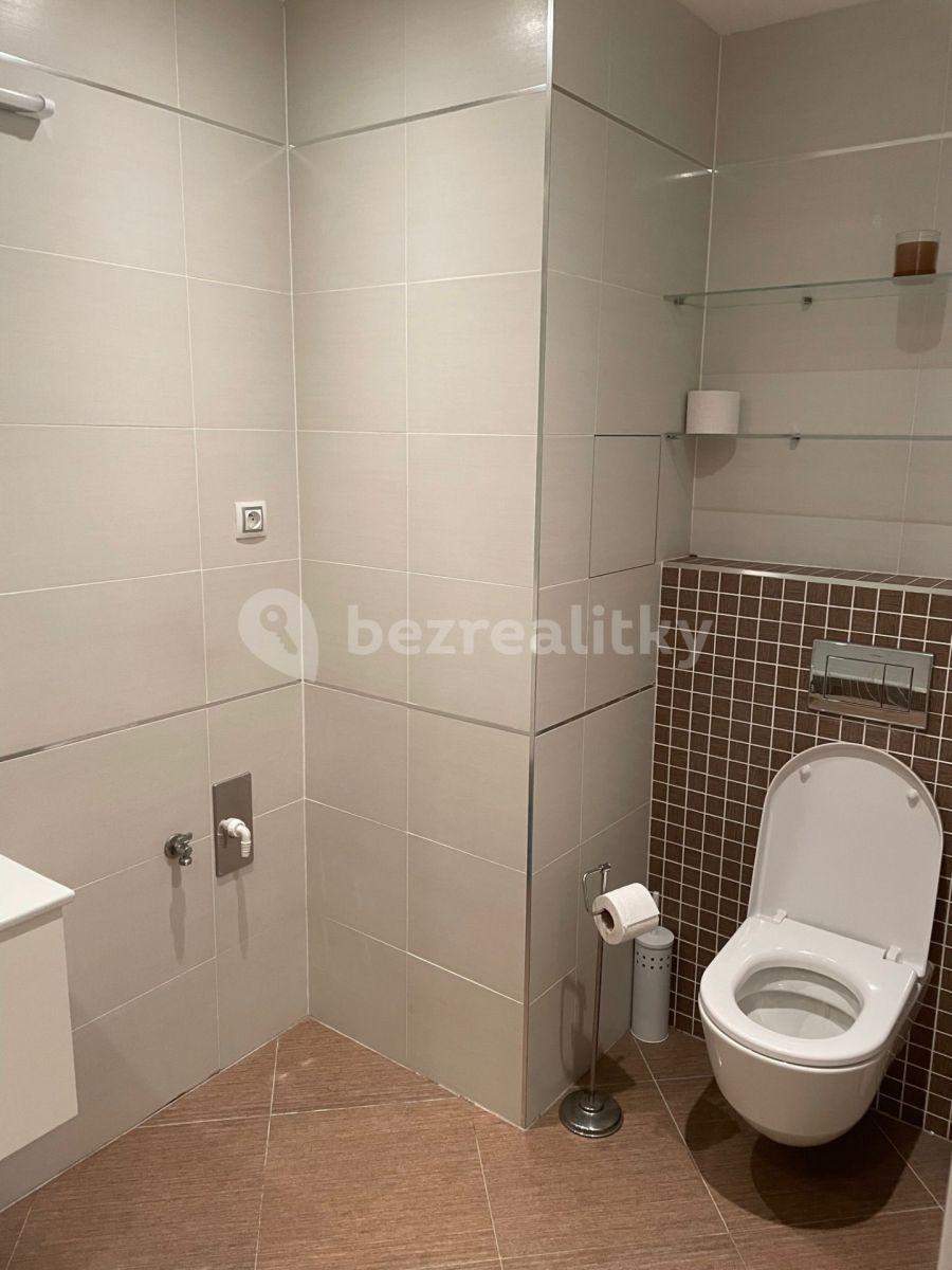 1 bedroom with open-plan kitchen flat to rent, 55 m², Vojenova, Prague, Prague