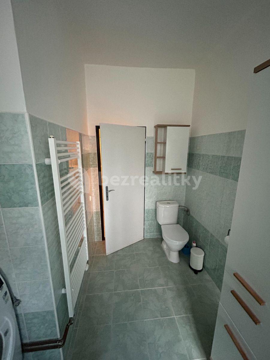 1 bedroom with open-plan kitchen flat to rent, 70 m², Rakouská, Milovice, Středočeský Region