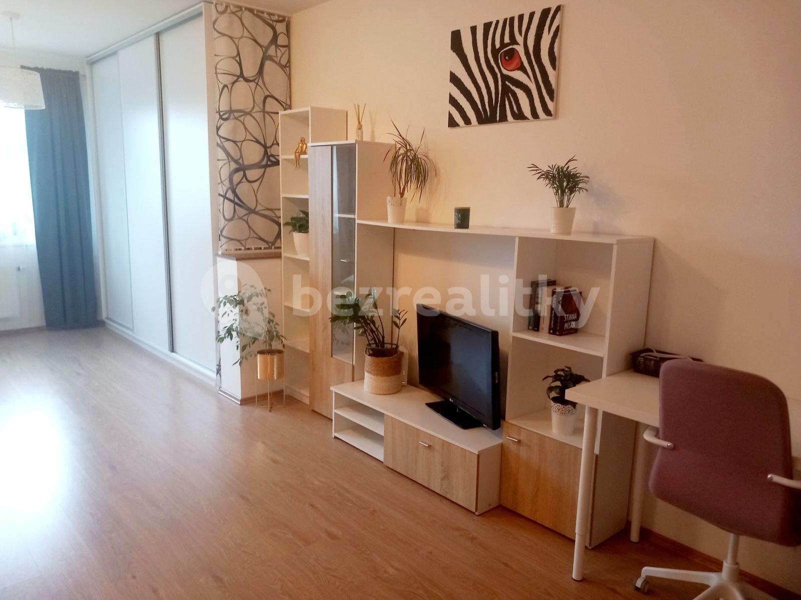 1 bedroom with open-plan kitchen flat for sale, 56 m², Březenská, Prague, Prague