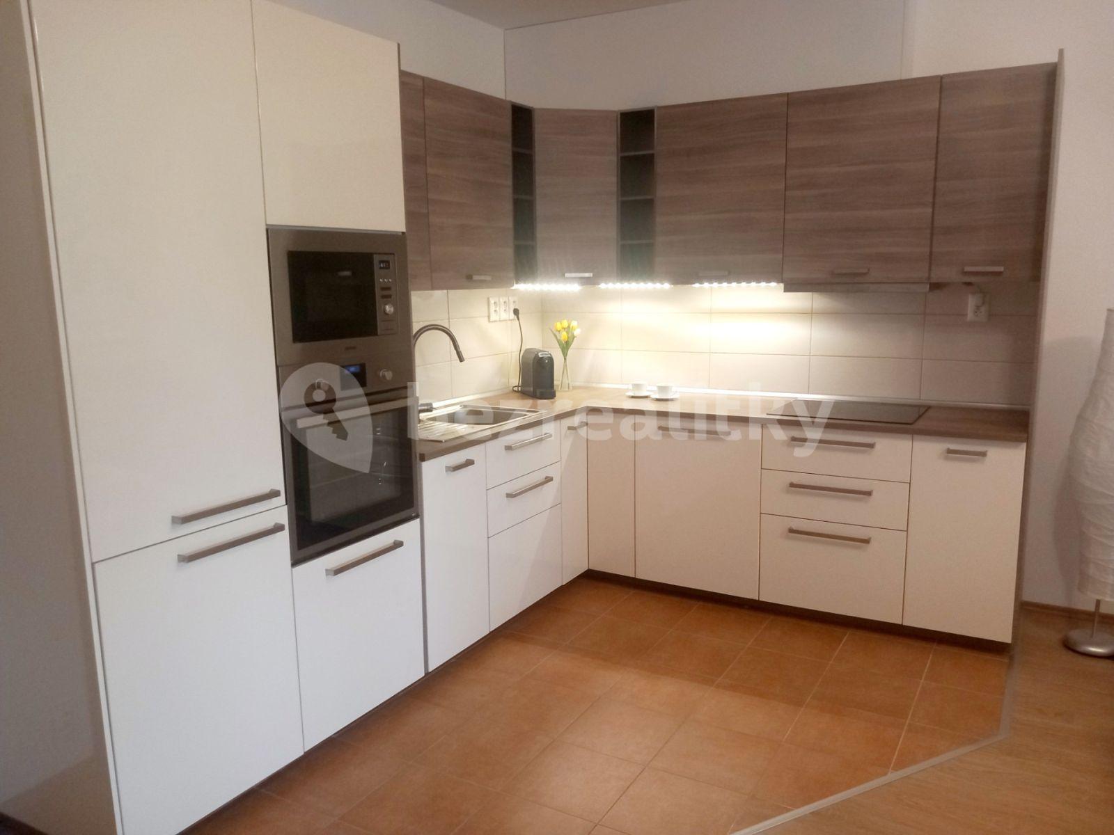 1 bedroom with open-plan kitchen flat for sale, 56 m², Březenská, Prague, Prague