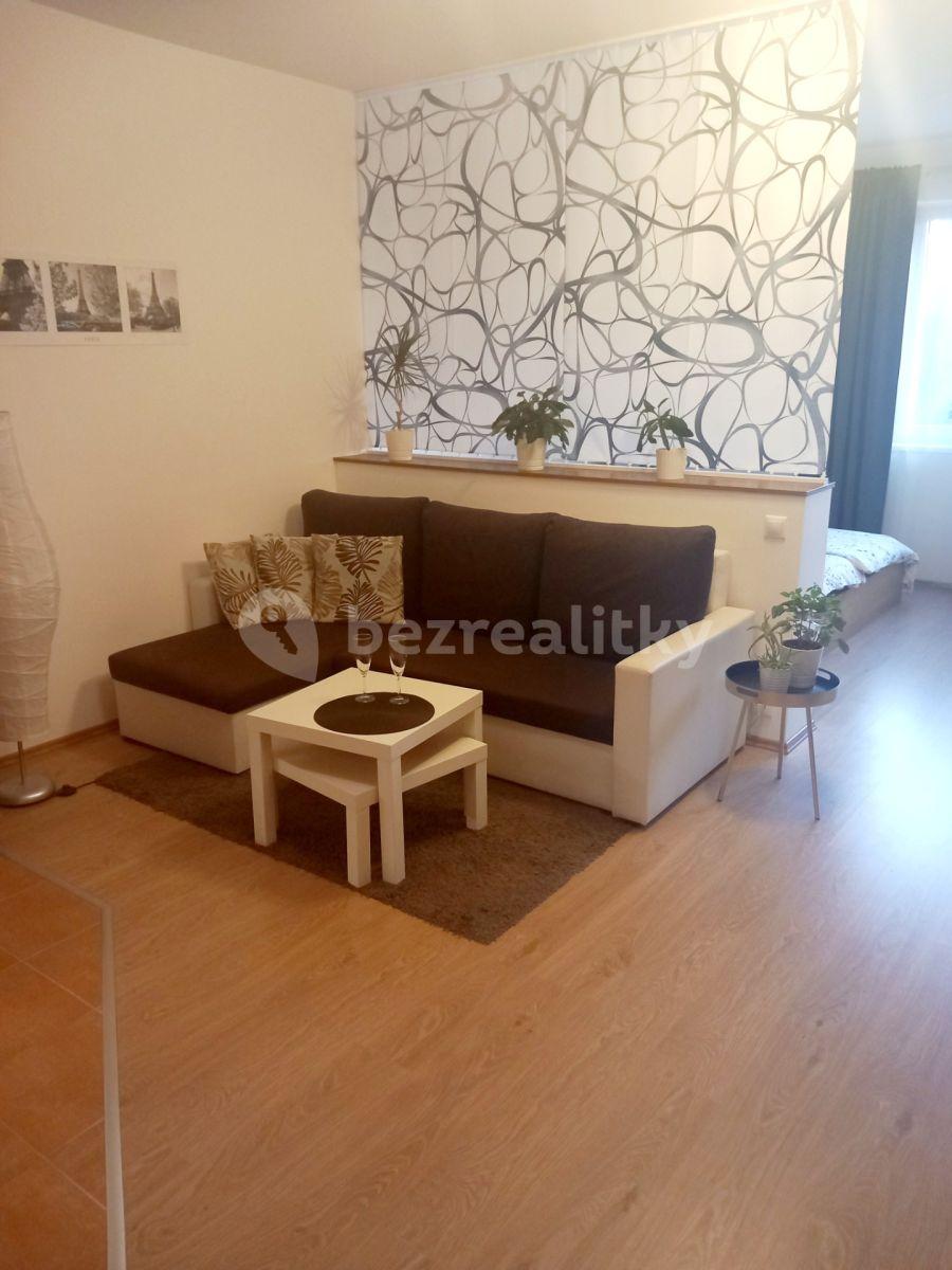 1 bedroom with open-plan kitchen flat for sale, 56 m², Březenská, Prague, Prague