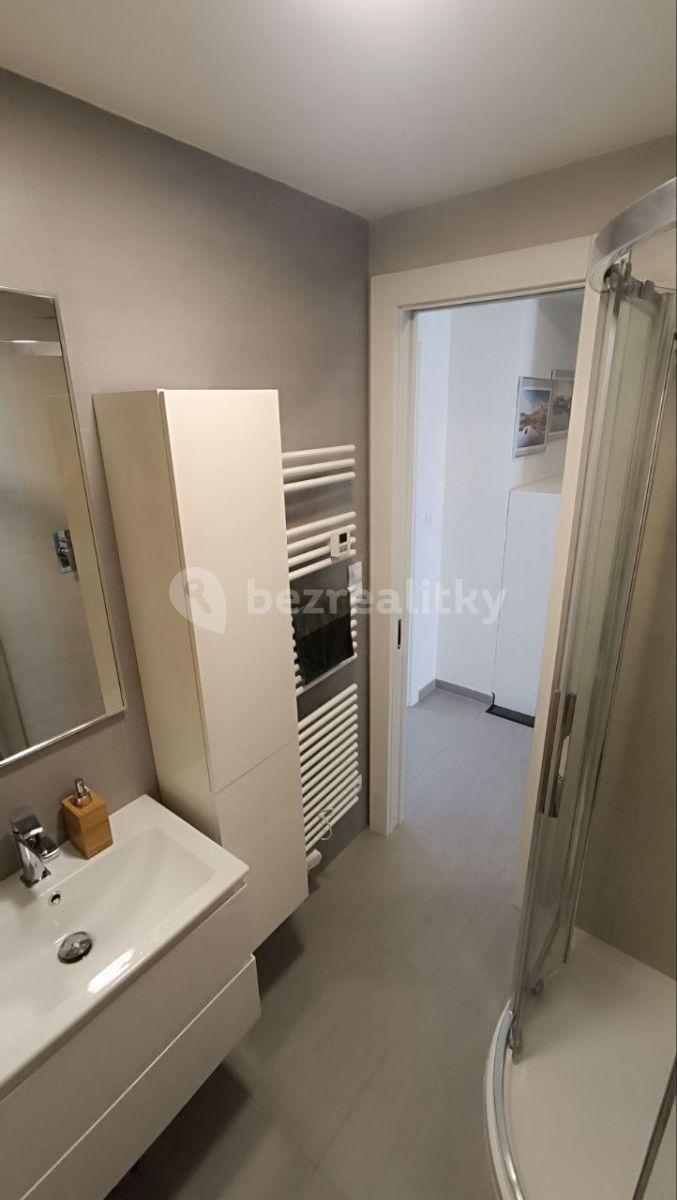 Studio flat to rent, 30 m², Strančická, Prague, Prague