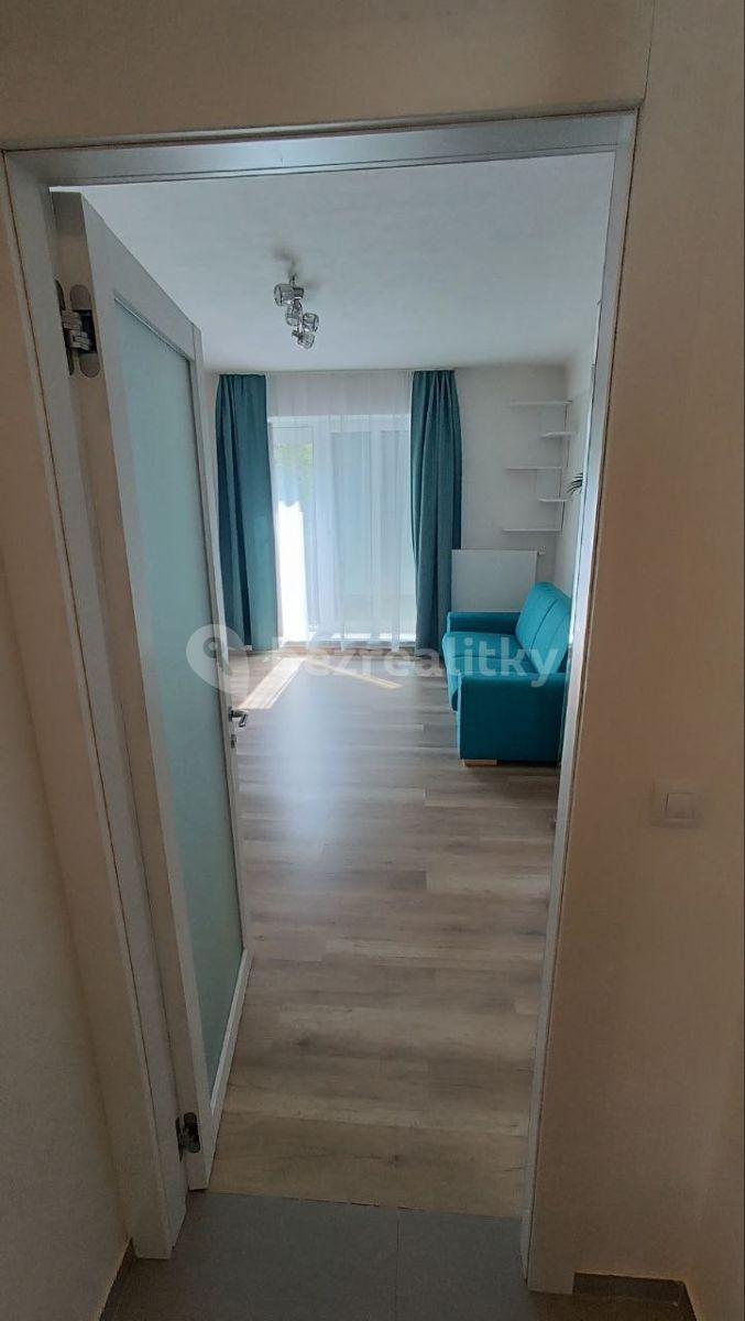 Studio flat to rent, 30 m², Strančická, Prague, Prague