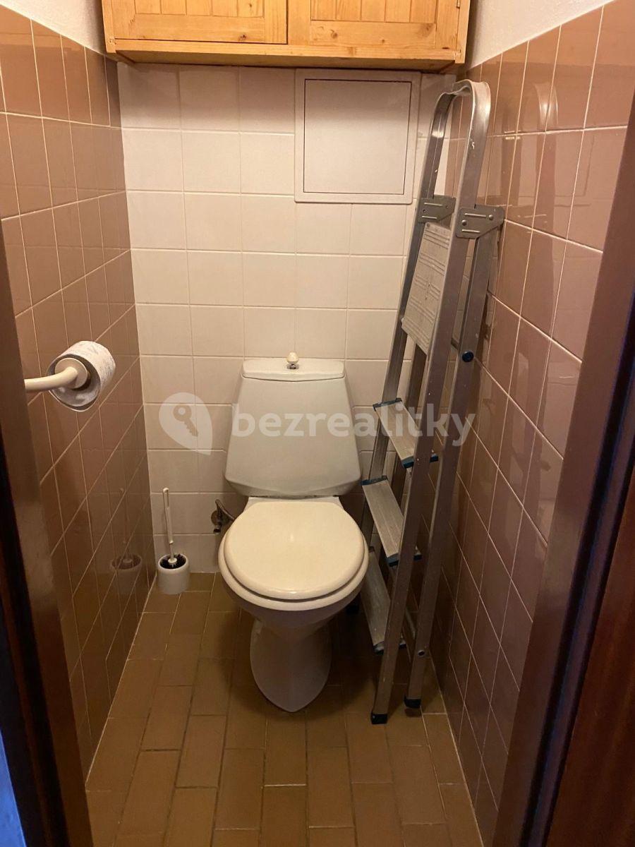 1 bedroom with open-plan kitchen flat to rent, 45 m², Ve Střešovičkách, Prague, Prague