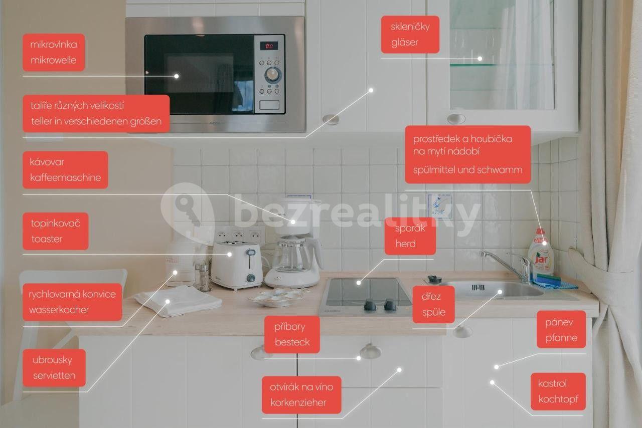 Studio flat to rent, 20 m², Nuselská, Prague, Prague