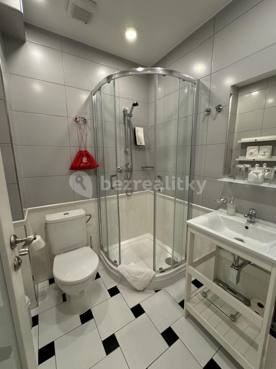 Studio flat to rent, 20 m², Nuselská, Prague, Prague