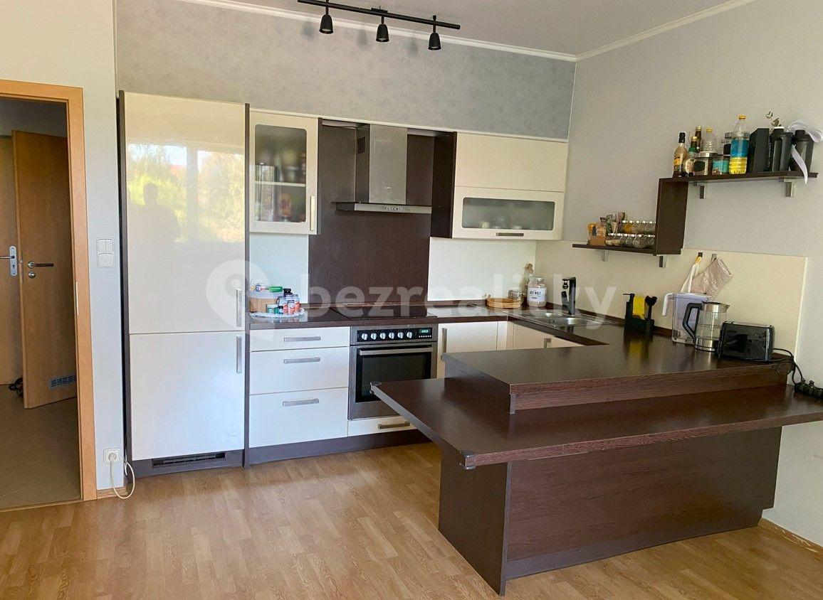 1 bedroom with open-plan kitchen flat to rent, 50 m², Chlebovická, Prague, Prague