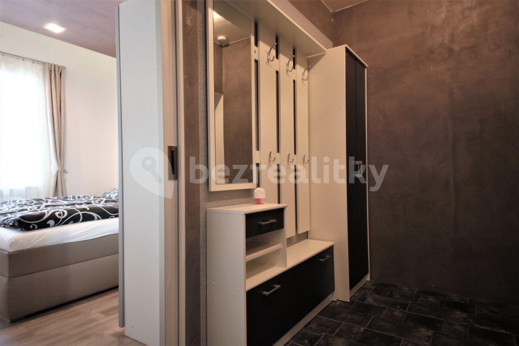 1 bedroom with open-plan kitchen flat to rent, 43 m², Malešická, Prague, Prague