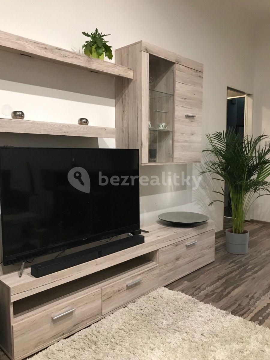 1 bedroom with open-plan kitchen flat to rent, 43 m², Malešická, Prague, Prague