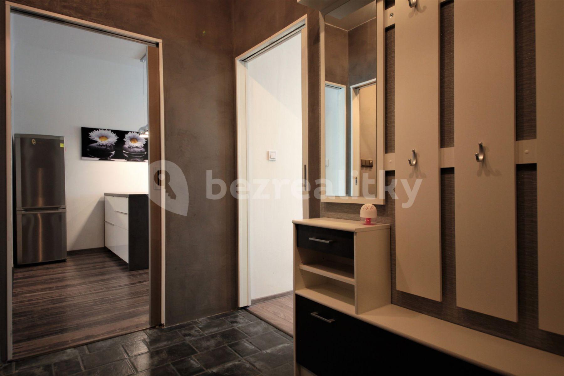 1 bedroom with open-plan kitchen flat to rent, 43 m², Malešická, Prague, Prague