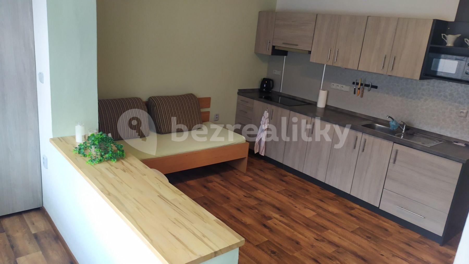 Studio flat to rent, 32 m², Netušilova, Prostějov, Olomoucký Region