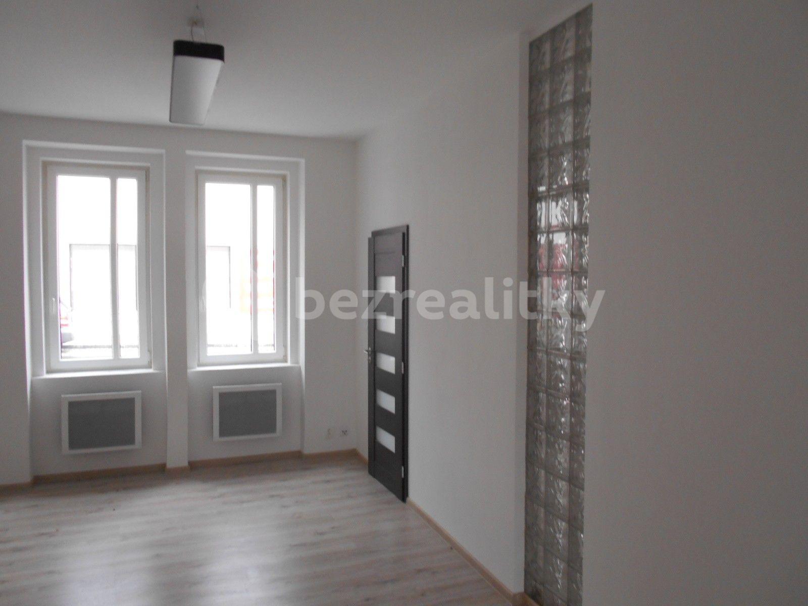 1 bedroom with open-plan kitchen flat to rent, 57 m², Louny, Ústecký Region