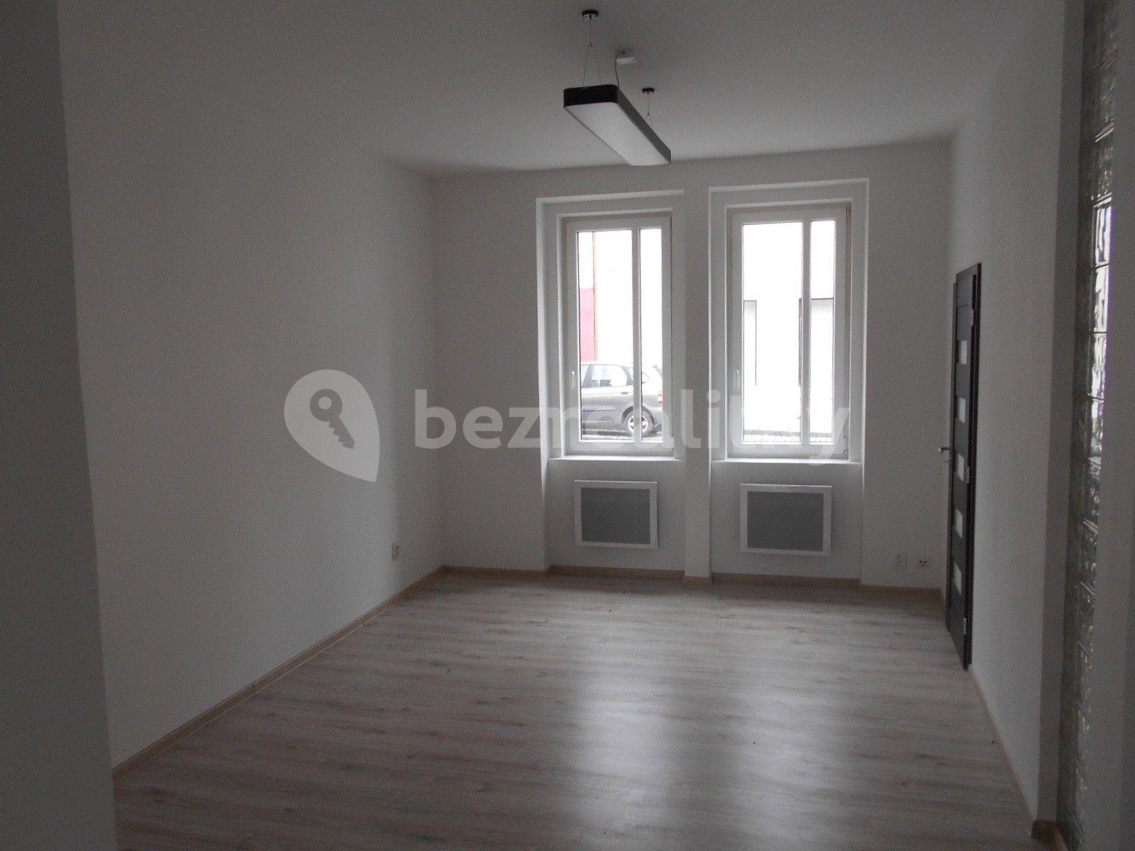 1 bedroom with open-plan kitchen flat to rent, 57 m², Louny, Ústecký Region