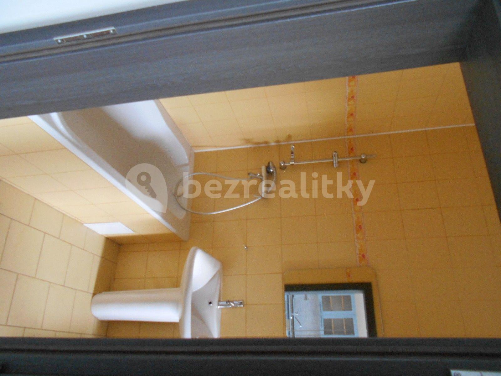 1 bedroom with open-plan kitchen flat to rent, 57 m², Louny, Ústecký Region