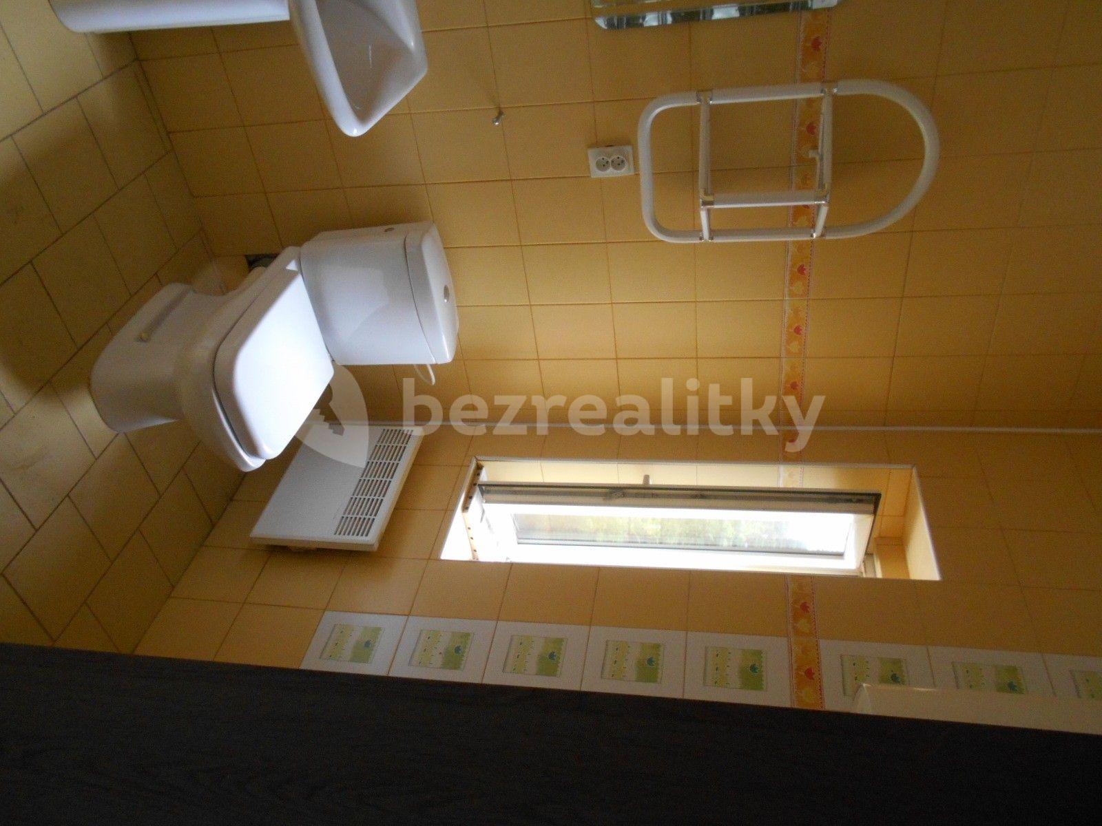 1 bedroom with open-plan kitchen flat to rent, 57 m², Louny, Ústecký Region