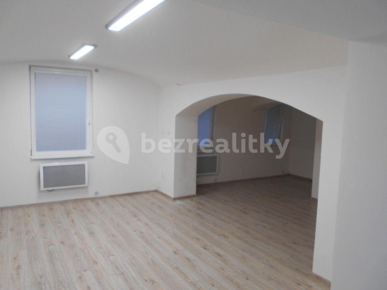 1 bedroom with open-plan kitchen flat to rent, 57 m², Louny, Ústecký Region