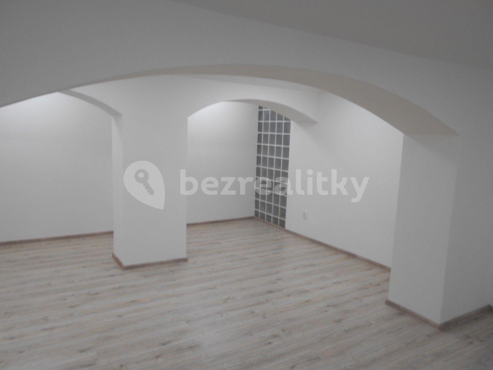 1 bedroom with open-plan kitchen flat to rent, 57 m², Louny, Ústecký Region