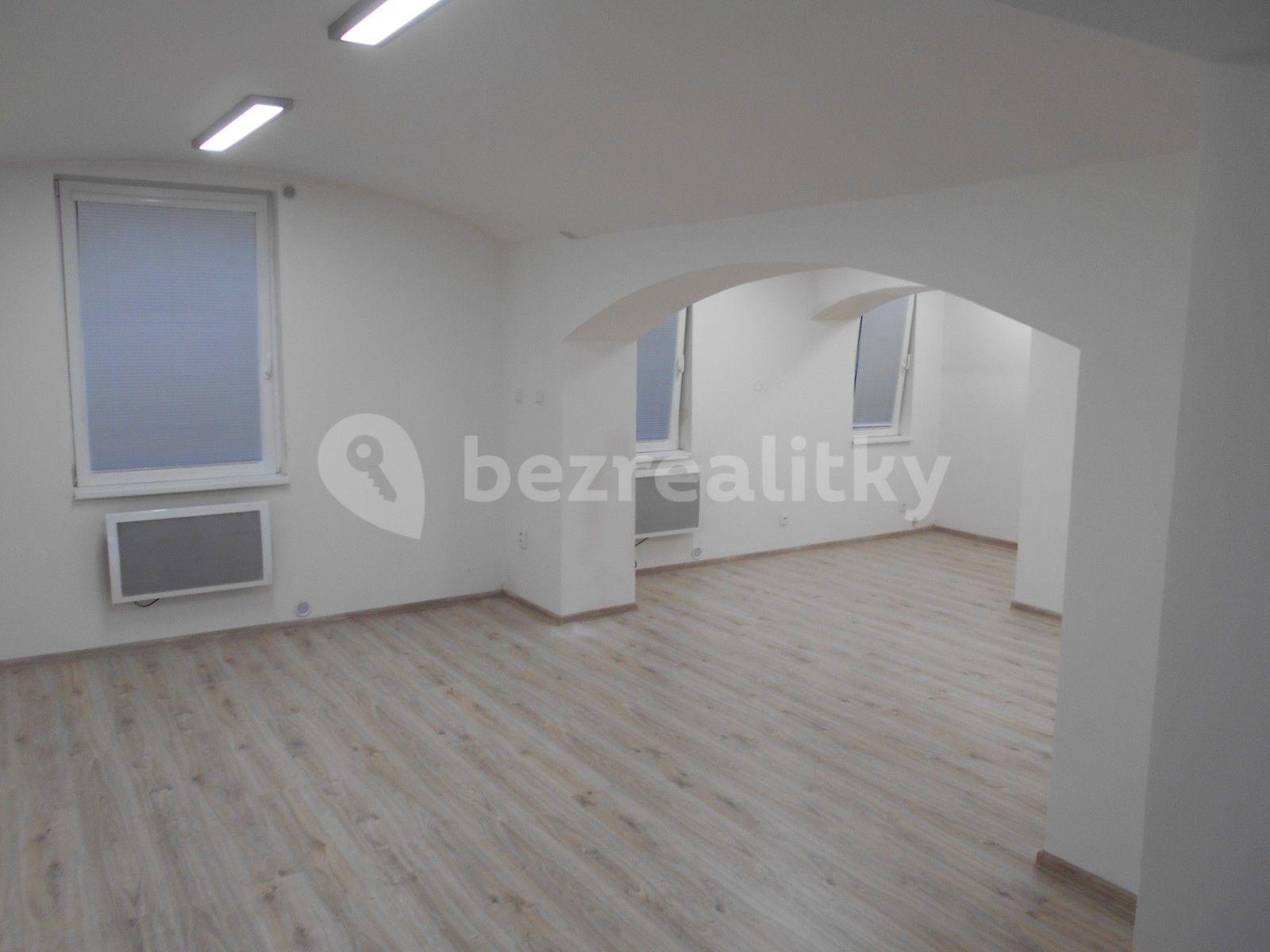 1 bedroom with open-plan kitchen flat to rent, 57 m², Louny, Ústecký Region