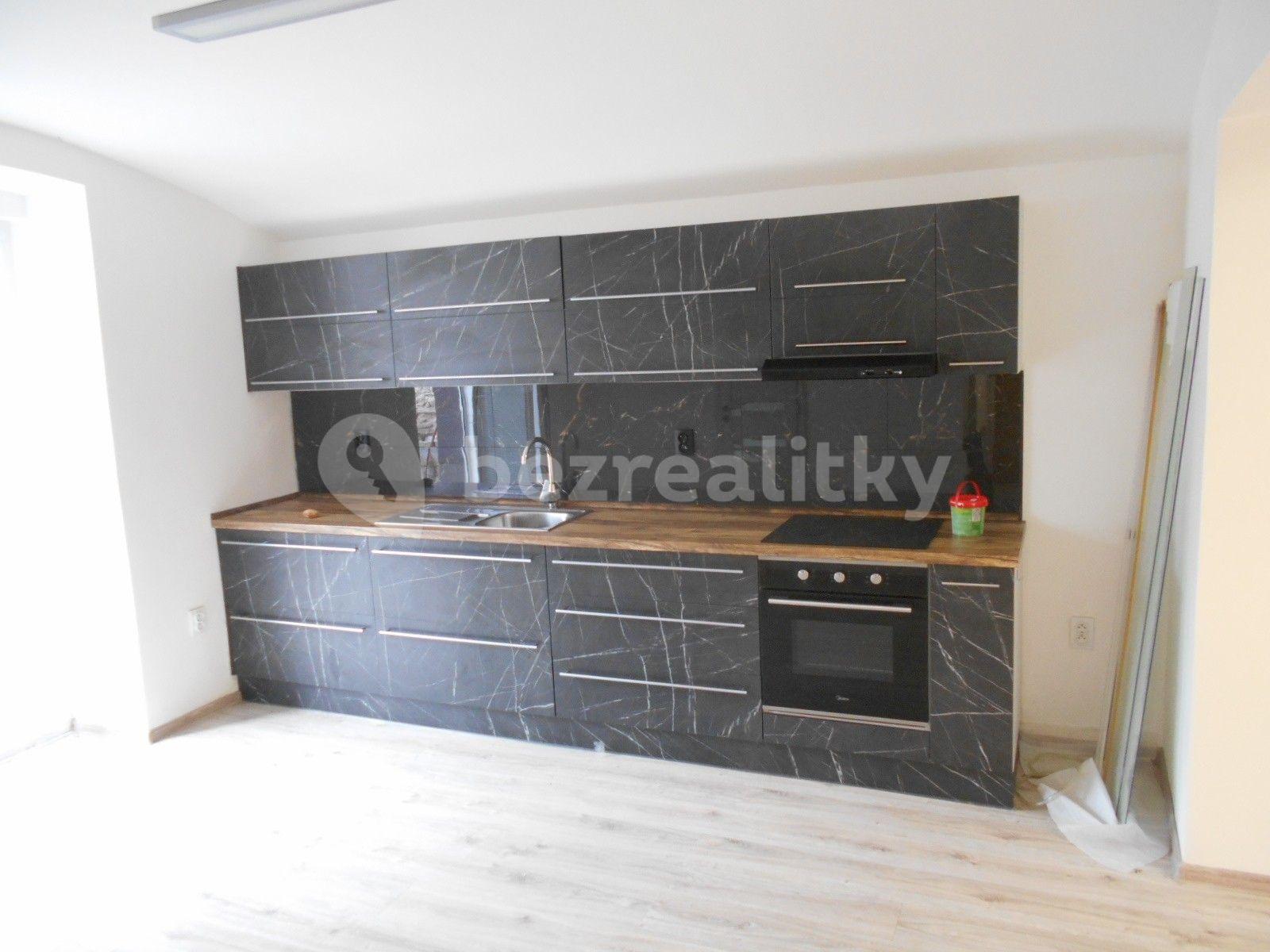 1 bedroom with open-plan kitchen flat to rent, 57 m², Louny, Ústecký Region