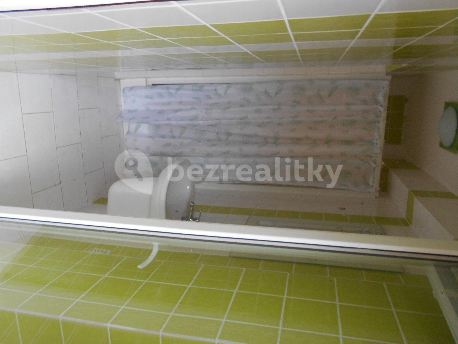 1 bedroom with open-plan kitchen flat to rent, 57 m², Louny, Ústecký Region