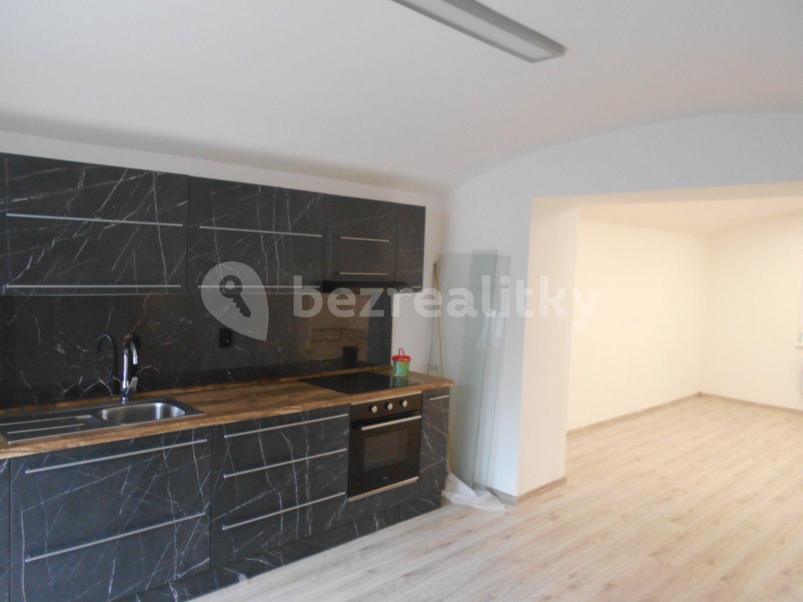 1 bedroom with open-plan kitchen flat to rent, 57 m², Louny, Ústecký Region