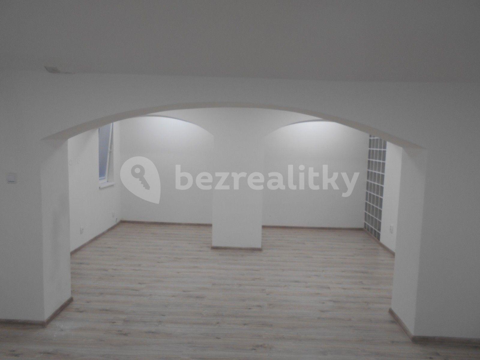 1 bedroom with open-plan kitchen flat to rent, 57 m², Louny, Ústecký Region