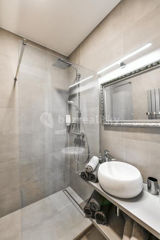 1 bedroom with open-plan kitchen flat to rent, 70 m², Ve Smečkách, Prague, Prague