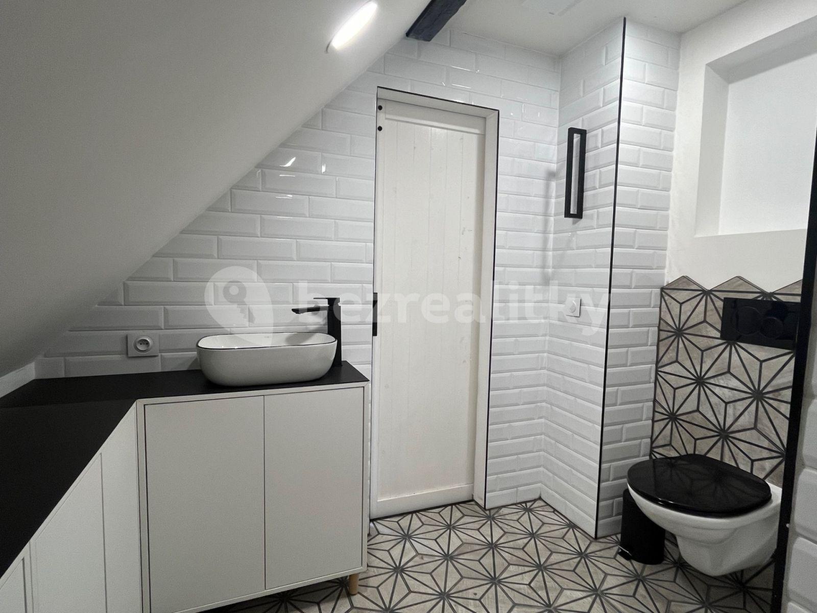 1 bedroom with open-plan kitchen flat to rent, 42 m², Josefův Důl, Liberecký Region